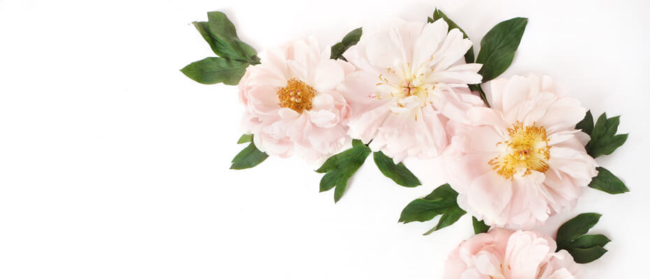 Promotions and Special Offers