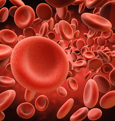 PRP Therapy